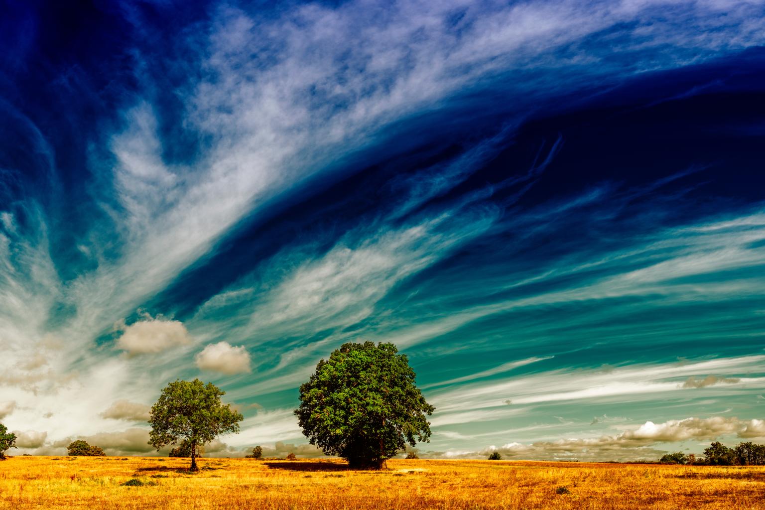 WMO image accompanying its 2026 El Niño forecast update